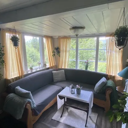 Cozy In The Woods With A View Of The 度假居 *